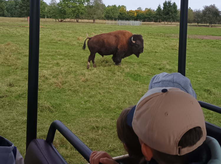 Podzimní výprava za zvířaty do Safari Resortu