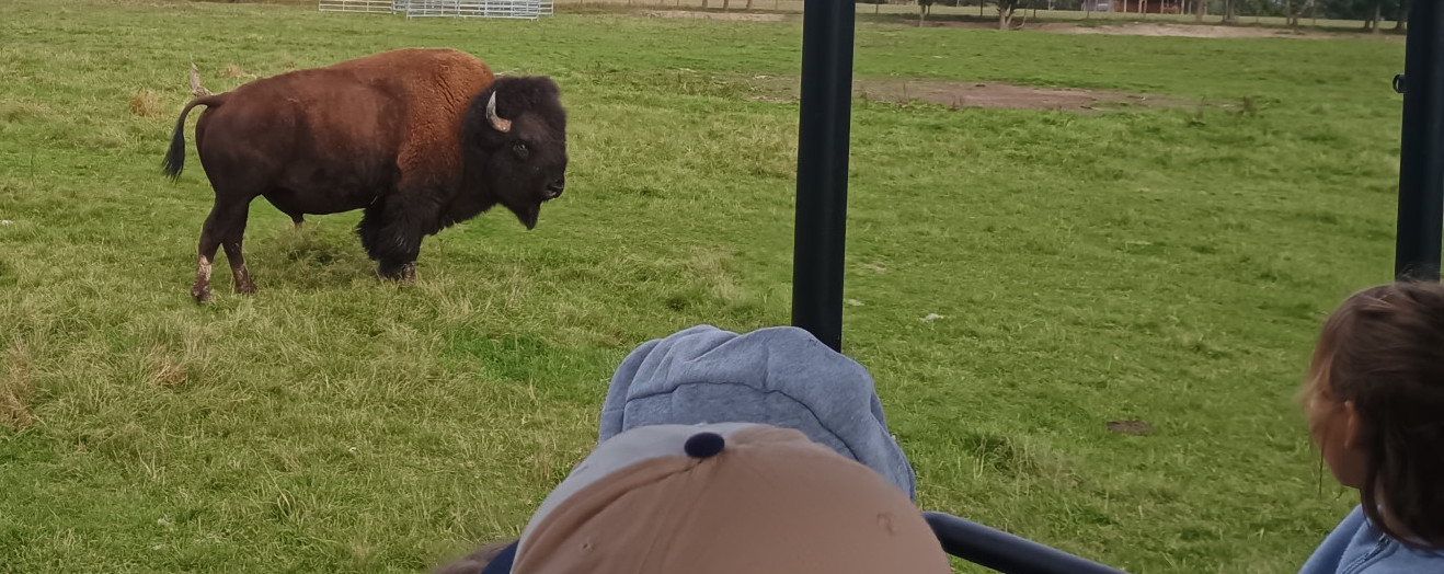 Podzimní výprava za zvířaty do Safari Resortu
